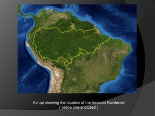 A map showing the location of the Amazon Rainforest
( yellow line enclosed )
 