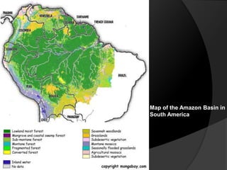 Map of the Amazon Basin in
South America
 