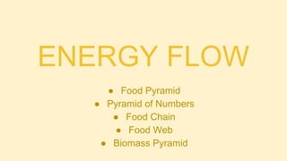 ENERGY FLOW
● Food Pyramid
● Pyramid of Numbers
● Food Chain
● Food Web
● Biomass Pyramid
 