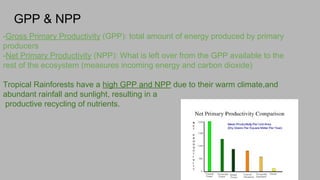 GPP & NPP
-Gross Primary Productivity (GPP): total amount of energy produced by primary
producers
-Net Primary Productivity (NPP): What is left over from the GPP available to the
rest of the ecosystem (measures incoming energy and carbon dioxide)
Tropical Rainforests have a high GPP and NPP due to their warm climate,and
abundant rainfall and sunlight, resulting in a
productive recycling of nutrients.
 