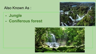 Also Known As :
- Jungle
- Coniferous forest
 