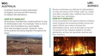 LDC:
BORNEO
Australia’s forest are being deforested
by logging, burning and land clearing
to replace with plantations.
HOW IS IT HANDLED?
Greenpeace Australia has created policies to stop
its deforestation rate. For example, there is one to
ensure that Australians buy wood legally
from well managed sources. However, many
of the policies are being forgotten throughout the
years.
Borneo rainforests are affected by deforestation
as they are being cut for timber, palm oil, rubber
and other minerals. Also, wildfires have formed
that clear their rainforests.
HOW IS IT HANDLED?
It has committed to the Heart of Borneo Initiative
which protects the remaining forests across the
island. Efforts are made to reverse the
deforestation trend, such as the plan to convert
10 percent of the Yayasan Sabah to oil palm
plantations so they can generate revenue and
then restore it.
MDC:
AUSTRALIA
 