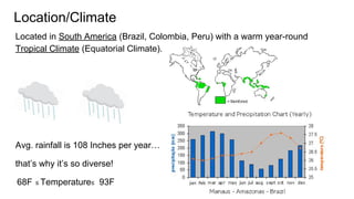 Location/Climate
Located in South America (Brazil, Colombia, Peru) with a warm year-round
Tropical Climate (Equatorial Climate).
Avg. rainfall is 108 Inches per year…
that’s why it’s so diverse!
68F ≤ Temperature≤ 93F
 