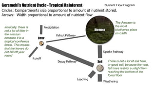 The Amazon is
the most
biodiverse place
on Earth
Ironically, there is
not a lot of litter in
the amazon
because it is a
tropical coniferous
forest. This means
that the leaves do
not fall off year
round
There is not a lot of soil here,
or good soil, because the vast,
tall trees restrict sunlight from
reaching the bottom of the
forest floor
Nutrient Flow Diagram
 