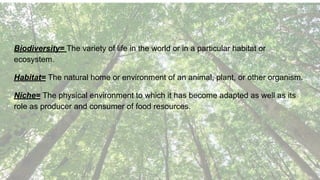 Biodiversity= The variety of life in the world or in a particular habitat or
ecosystem.
Habitat= The natural home or environment of an animal, plant, or other organism.
Niche= The physical environment to which it has become adapted as well as its
role as producer and consumer of food resources.
 