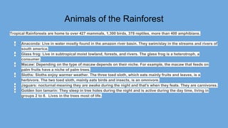 Animals of the Rainforest
Tropical Rainforests are home to over 427 mammals, 1,300 birds, 378 reptiles, more than 400 amphibians.
- Anaconda: Live in water mostly found in the amazon river basin. They swim/stay in the streams and rivers of
south america.
- Glass frog: Live in subtropical moist lowland, forests, and rivers. The glass frog is a heterotroph, a
consumer.
- Macaw: Depending on the type of macaw depends on their niche. For example, the macaw that feeds on
palm fruits have a niche of palm trees.
- Sloths: Sloths enjoy warmer weather. The three toed sloth, which eats mainly fruits and leaves, is a
herbivore. The two toed sloth, mainly eats birds and insects, is an omnivore.
- Jaguars: nocturnal meaning they are awake during the night and that's when they feats. They are carnivores.
- Golden lion tamarin: They sleep in tree holes during the night and is active during the day time, living in
groups 2 to 8. Lives in the trees most of life.
 