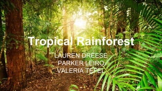 Tropical Rainforest
LAUREN DREESE
PARKER LEIRO
VALERIA TEFEL
 