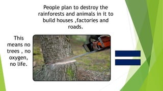 People plan to destroy the
rainforests and animals in it to
build houses ,factories and
roads.
This
means no
trees , no
oxygen,
no life.
 