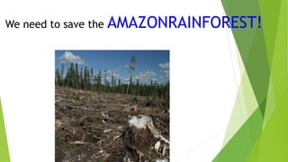 We need to save the AMAZONRAINFOREST!
 