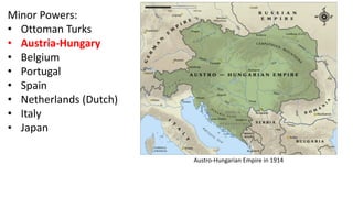 Austro-Hungarian Empire in 1914
Minor Powers:
• Ottoman Turks
• Austria-Hungary
• Belgium
• Portugal
• Spain
• Netherlands (Dutch)
• Italy
• Japan
 