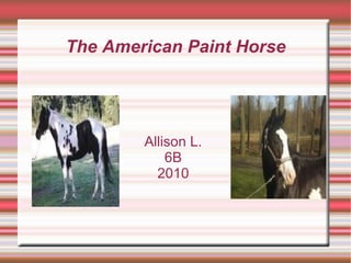 The American Paint Horse Allison L.  6B  2010  