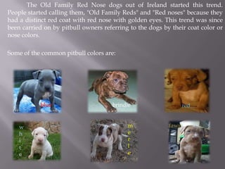 What on Earth does all of this mean? Black Nose