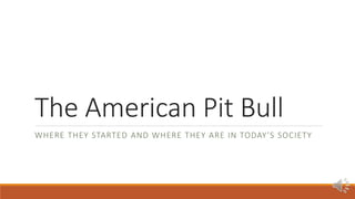 The American Pit Bull
WHERE THEY STARTED AND WHERE THEY ARE IN TODAY’S SOCIETY
 