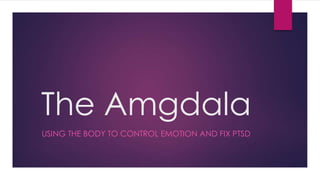 The Amgdala
USING THE BODY TO CONTROL EMOTION AND FIX PTSD
 