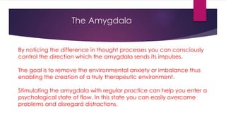 The Amgdala: Using the Body to Control Emotion | PPTX
