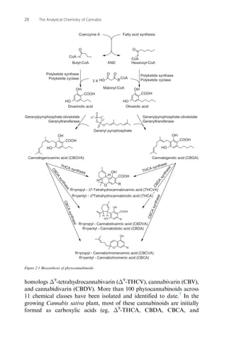 Δ9
-THCVA) that are decarboxylated to their corresponding neutral
forms as a consequence of drying, heating, combustion, o...