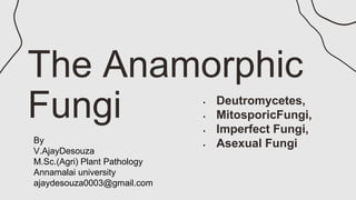 The Anamorphic
Fungi  Deutromycetes,
 MitosporicFungi,
 Imperfect Fungi,
 Asexual Fungi
By
V.AjayDesouza
M.Sc.(Agri) Plant Pathology
Annamalai university
ajaydesouza0003@gmail.com
 