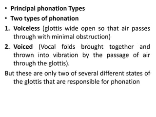 The Anatomy and Physiology of Speech Production(Phonetics) | PPTX