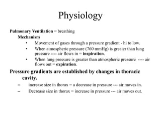 The anatomy and physiology of the respiratory system | PPTX