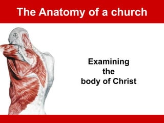 The Anatomy of a church
Examining
the
body of Christ
 