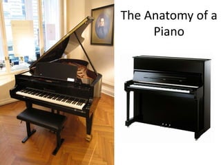 The Anatomy of a
Piano
 