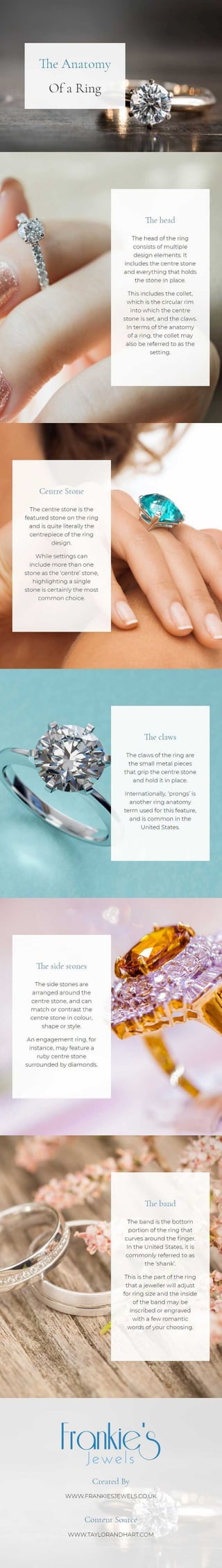 The anatomy of a ring