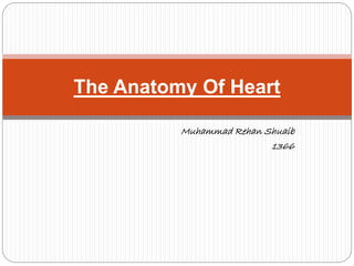 The Anatomy Of Heart 
Muhammad Rehan Shuaib 
1366 
 