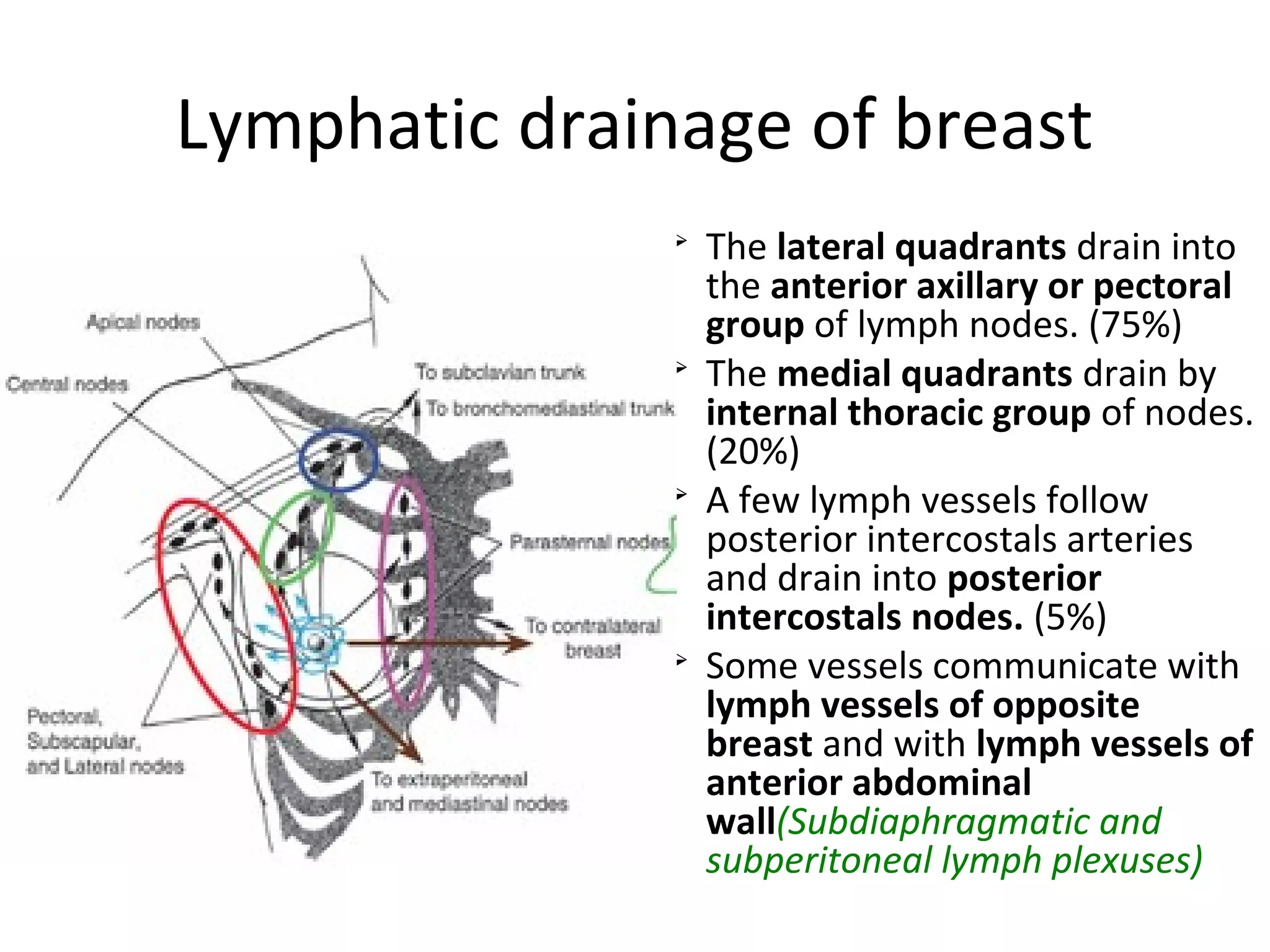 The anatomy of pectoral region | PPT