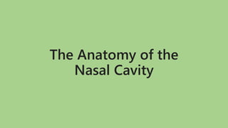 The Anatomy of the
Nasal Cavity
 
