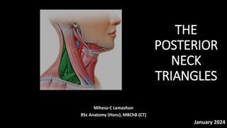 THE
POSTERIOR
NECK
TRIANGLES
Miheso C Lemashon
BSc Anatomy (Hons), MBChB (CT)
January 2024
 