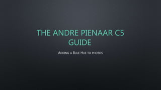 THE ANDRE PIENAAR C5
GUIDE
ADDING A BLUE HUE TO PHOTOS
 