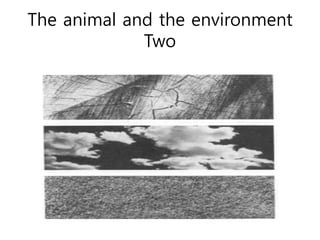 The animal and the environment
Two
 