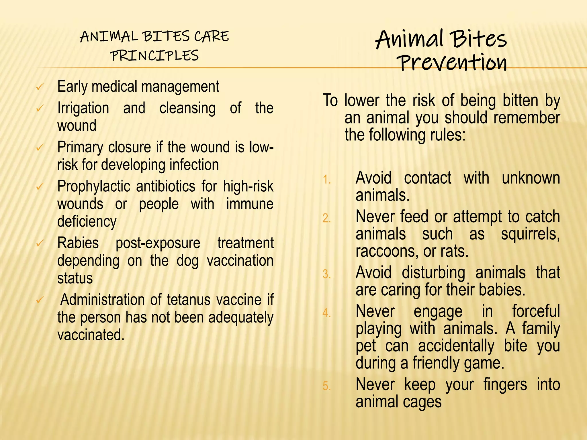 THE ANIMAL BITES AND WOUNDS | PDF