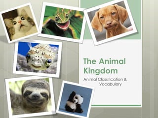 The Animal
Kingdom
Animal Classification &
Vocabulary
 