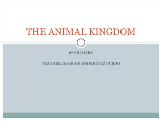 6º PRIMARY
TEACHER: MARCOS RODRÍGUEZ UCEDO
THE ANIMAL KINGDOM
 