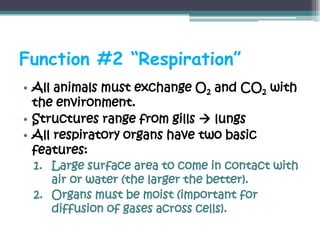 Function #2 “Respiration”
• All animals must exchange O2 and CO2 with
  the environment.
• Structures range from gills  lungs
• All respiratory organs have two basic
  features:
 1. Large surface area to come in contact with
    air or water (the larger the better).
 2. Organs must be moist (important for
    diffusion of gases across cells).
 