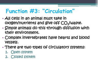 Function #3: “Circulation”
• All cells in an animal must take in
  oxygen/nutrients and give off CO2/waste.
• Simple animals do this through diffusion with
  their environment.
• Complex invertebrates have hearts and blood
  vessels.
• There are two types of circulatory systems:
 1. Open system
 2. Closed system
 