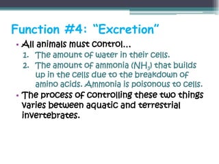Function #4: “Excretion”
• All animals must control…
 1. The amount of water in their cells.
 2. The amount of ammonia (NH3) that builds
    up in the cells due to the breakdown of
    amino acids. Ammonia is poisonous to cells.
• The process of controlling these two things
  varies between aquatic and terrestrial
  invertebrates.
 