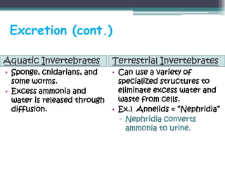 Excretion (cont.)

Aquatic Invertebrates       Terrestrial Invertebrates
• Sponge, cnidarians, and   • Can use a variety of
  some worms.                 specialized structures to
• Excess ammonia and          eliminate excess water and
  water is released through   waste from cells.
  diffusion.                • Ex.) Annelids = “Nephridia”
                              ▫ Nephridia converts
                                ammonia to urine.
 