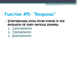Function #5: “Response”
• Invertebrates show three trends in the
  evolution of their nervous systems:
 1. Centralization
 2. Cephalization
 3. Specialization
 
