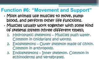Function #6: “Movement and Support”
 • Most animals use muscles to move, pump
   blood, and perform other life functions.
 • Muscles usually work together with some kind
   of skeletal system (three different types);
  1. Hydrostatic skeletons – Muscles push water.
     Common in cnidarians and worms.
  2. Exoskeletons – Outer skeleton made of chitin.
     Common in arthropods.
  3. Endoskeletons – Inner skeleton. Common in
     echinoderms and vertebrates.
 
