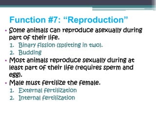 Function #7: “Reproduction”
• Some animals can reproduce asexually during
  part of their life.
 1. Binary fission (splitting in two).
 2. Budding
• Most animals reproduce sexually during at
  least part of their life (requires sperm and
  egg).
• Male must fertilize the female.
 1. External fertilization
 2. Internal fertilization
 