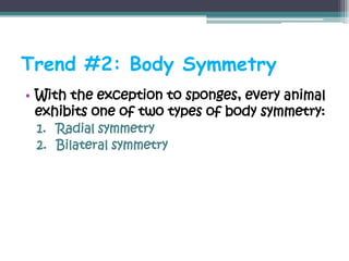 Trend #2: Body Symmetry
• With the exception to sponges, every animal
  exhibits one of two types of body symmetry:
 1. Radial symmetry
 2. Bilateral symmetry
 