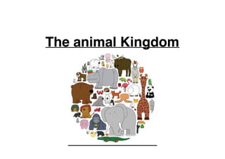 The animal Kingdom
 