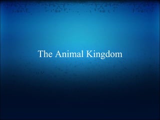 The Animal Kingdom
 