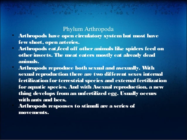 What do arthropods eat?