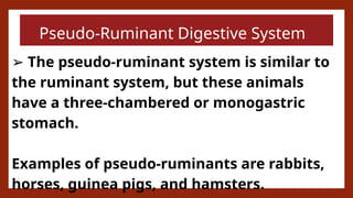 The Animal Organ System Digestive System_20241013_164609_0000.pptx
