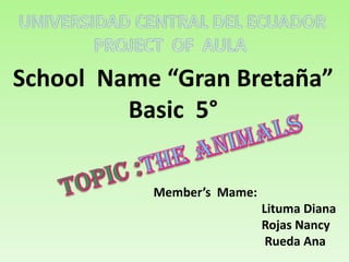 UNIVERSIDAD CENTRAL DEL ECUADOR,[object Object],PROJECT  OF  AULA ,[object Object],School  Name “Gran Bretaña” Basic  5° ,[object Object],topic :THE ANIMALS ,[object Object],Member’s  Mame:,[object Object],                                   Lituma Diana,[object Object],                                   Rojas Nancy,[object Object],                                    Rueda Ana ,[object Object]