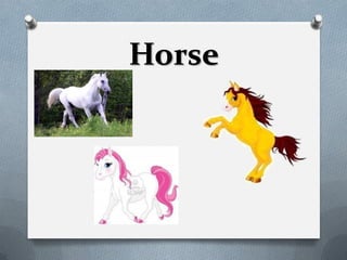 Horse
 