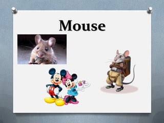 Mouse
 